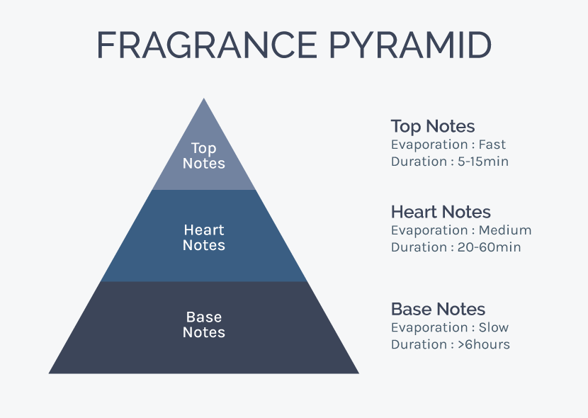 Understanding Top, Middle , Base Notes