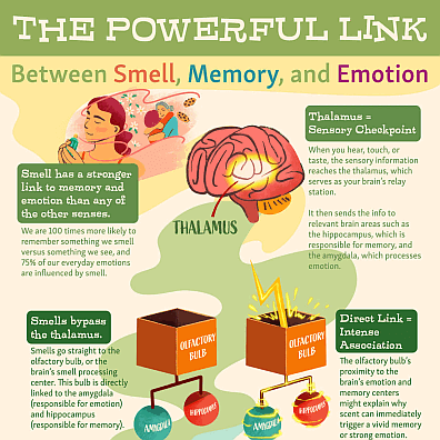 The Emotional Power of Fragrance and Memory